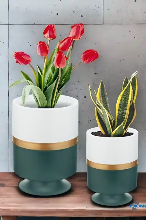 ToxA Çiçek Saksı Setleri: Estetik ve Dayanıklı Tasarımlarla Dekorasyon Çözümleri