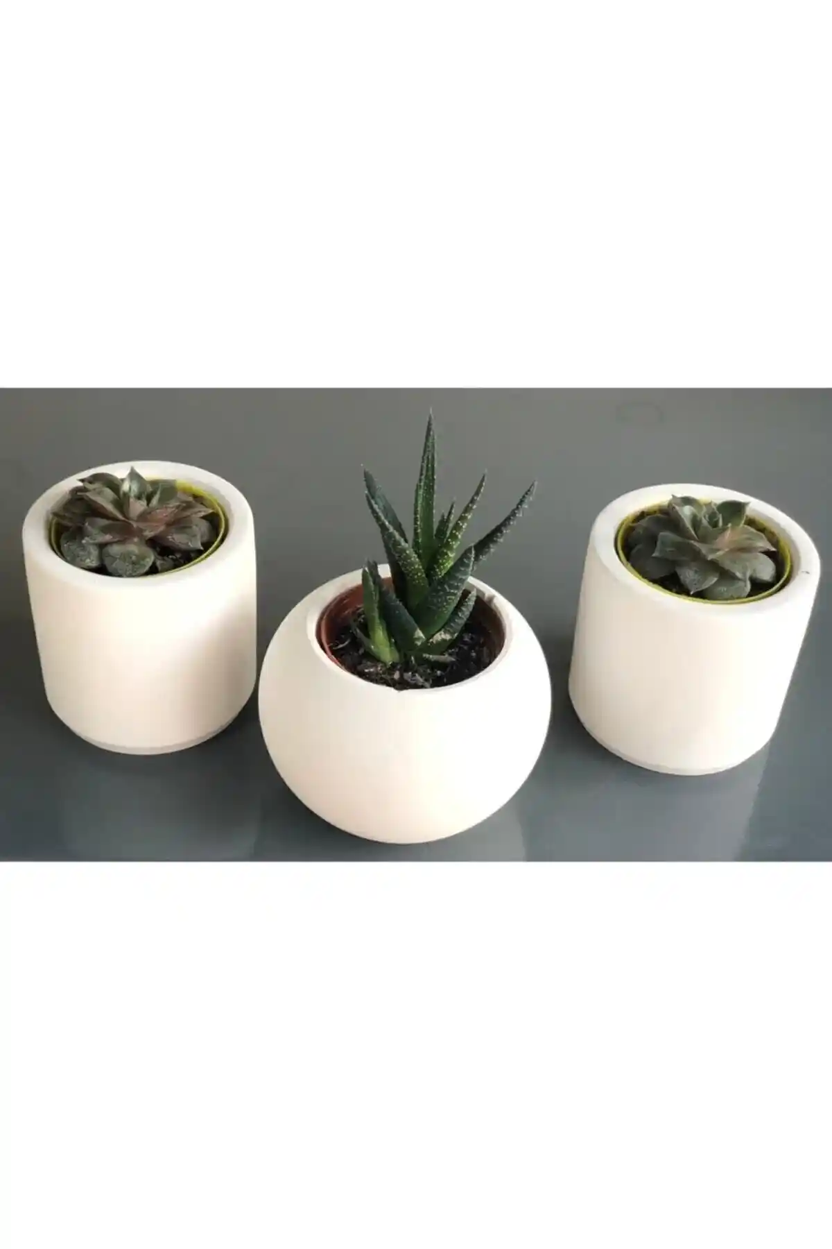 Trix Marka Sukulent Saksılarıyla Modern ve Dayanıklı Dekoratif Çözümler