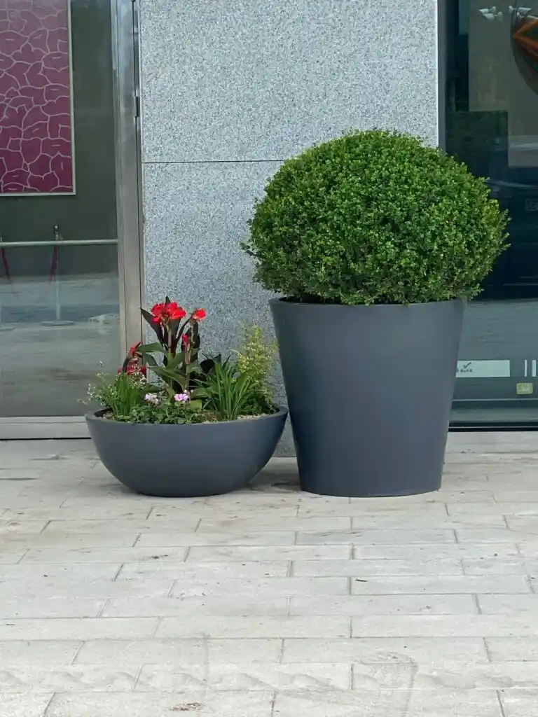 Uzun Saksı Modelleri: Şıklık ve İşlevselliğin Birlikte Sunulduğu Dekorasyon Seçenekleri