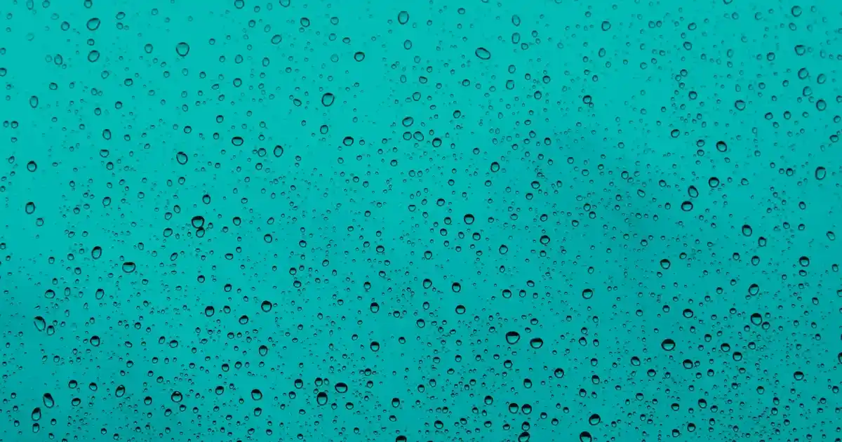 Yapay Çiçeklerin Estetik Dekorasyondaki Rolü ve Kullanım Alanları