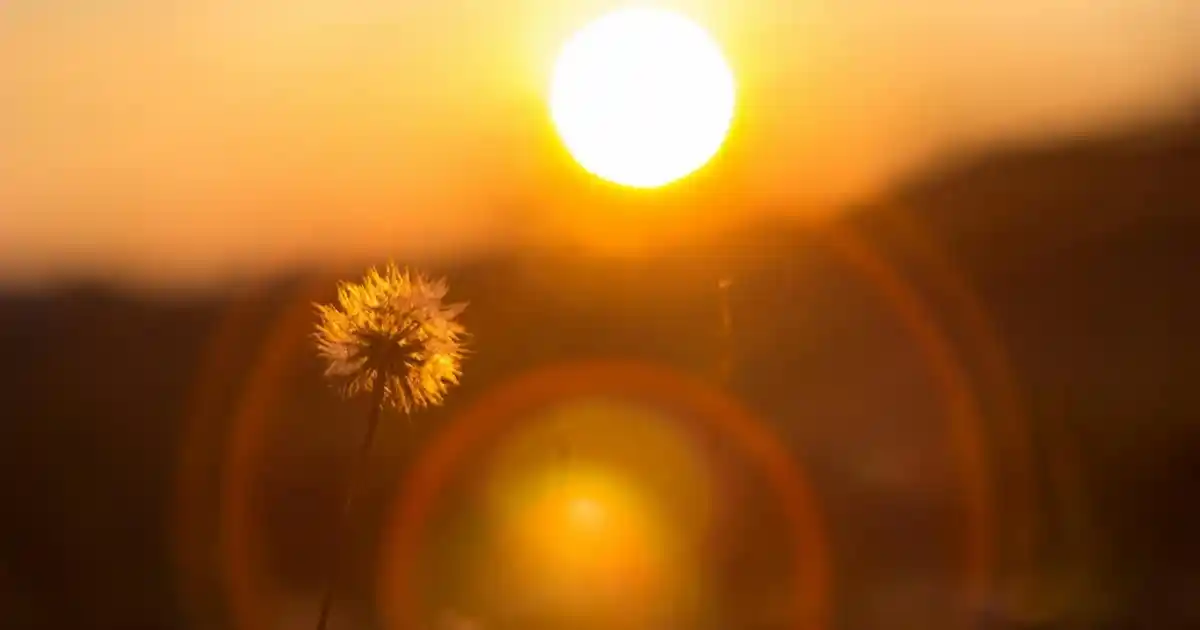 Yoruk Tuhafiye Düğün Havluları ile Geleneksel ve Modern Hediye Seçenekleri
