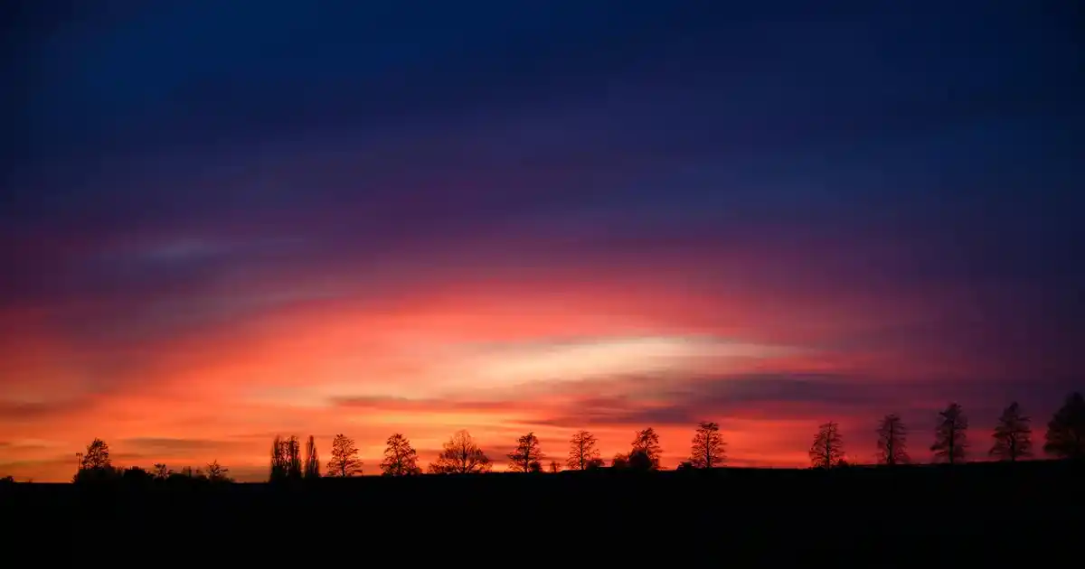 Yunan Motifleri ve Çiçekleriyle Modern Ev Dekorasyonu Trendleri ve Uygulamaları