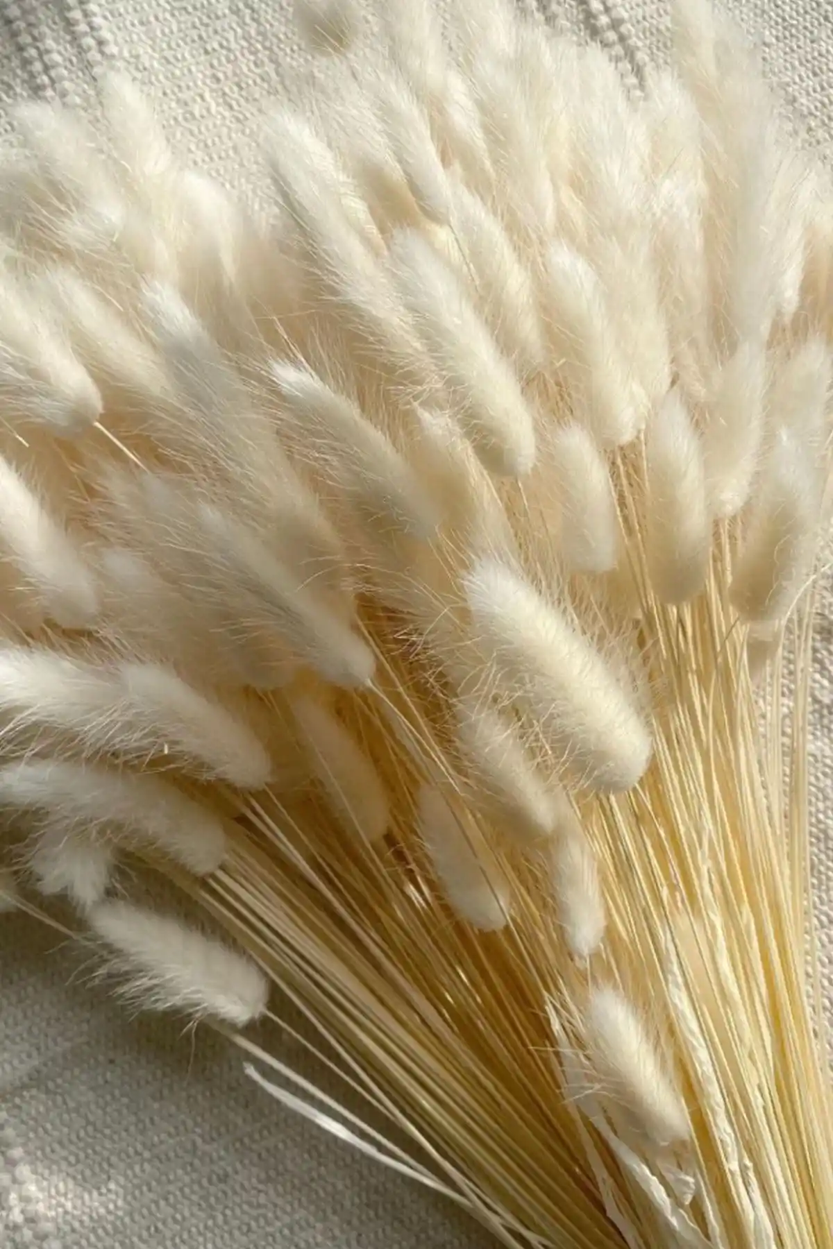 Goya Home Doğal Çiçek Aranjmanları Karşılaştırması: Pamuk Otu ve Lavanta Buketi