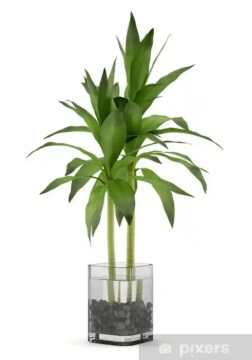 Bambu Vazolar ile Doğal ve Zarif Dekorasyon Trendleri ve İpuçları