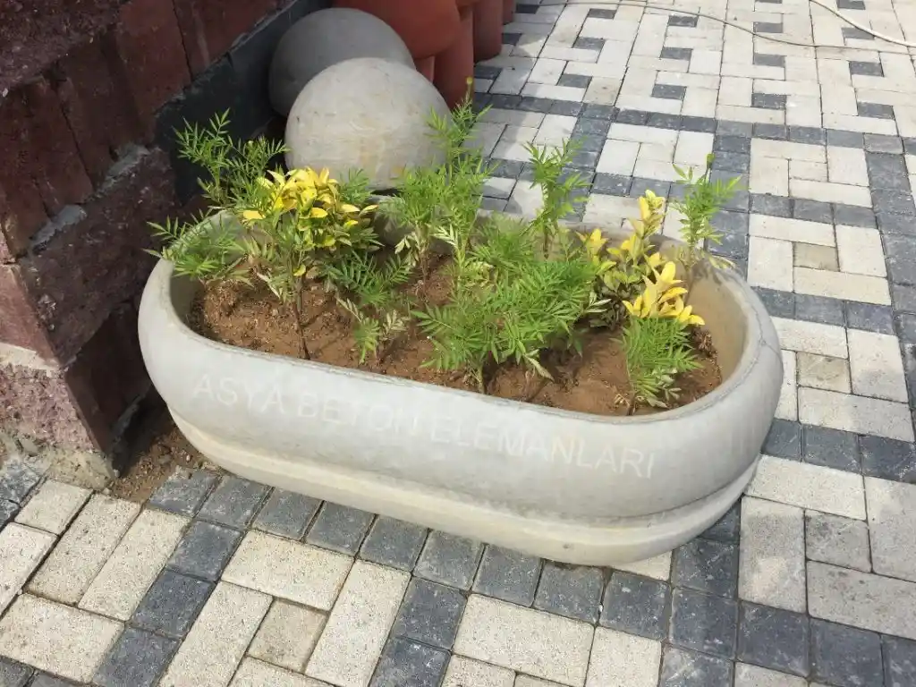 Beton Saksılar ile Modern ve Doğal Dekorasyon Çözümleri 2023