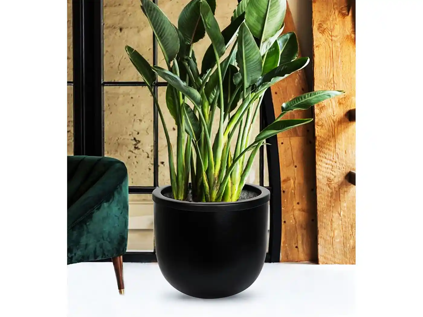 Büyük Siyah Saksılar ile Modern ve Şık Dekorasyon Çözümleri