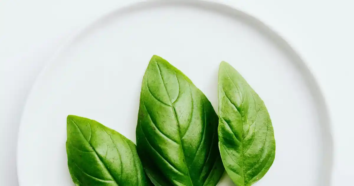 Çamaşır Makinesi Kaplama: Ev Dekorasyonunda Yenilikçi ve Pratik Bir Çözüm