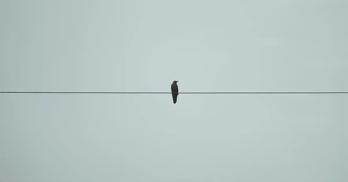 Çekmeceli Sebzeliklerle Modern ve Fonksiyonel Mutfak Dekorasyonu İpuçları