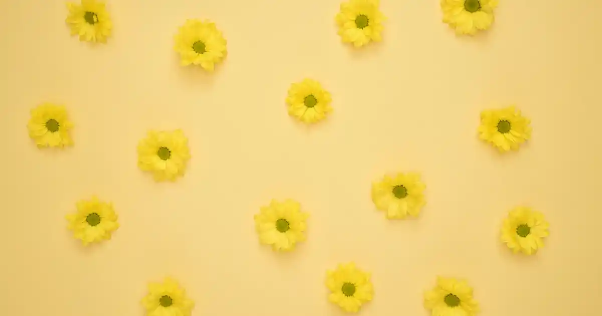 Çelik Bardaklarla Modern Dekorasyon: Şıklık ve Dayanıklılığı Bir Arada Yakalayın