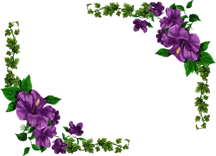 Çerçeve Resimleri ile Ev Dekorasyonunuzu Yenileyin Estetik ve Şıklık Yaratın