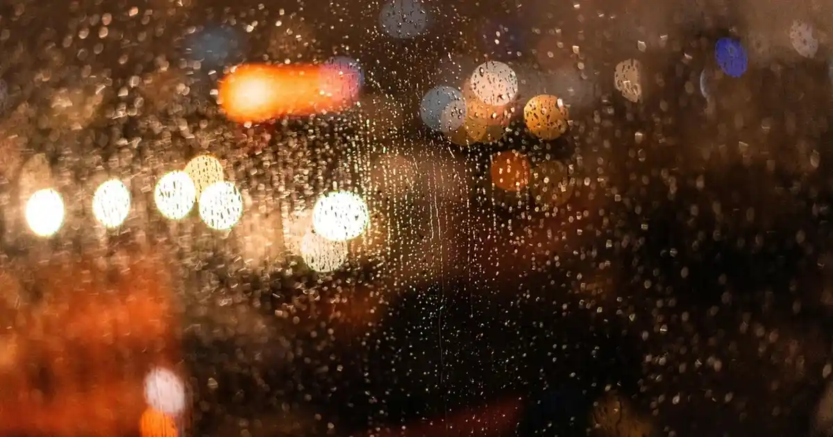 Çiçek Kurutma Çerçevesi ile Doğal ve Kalıcı Dekorasyon Fikirleri