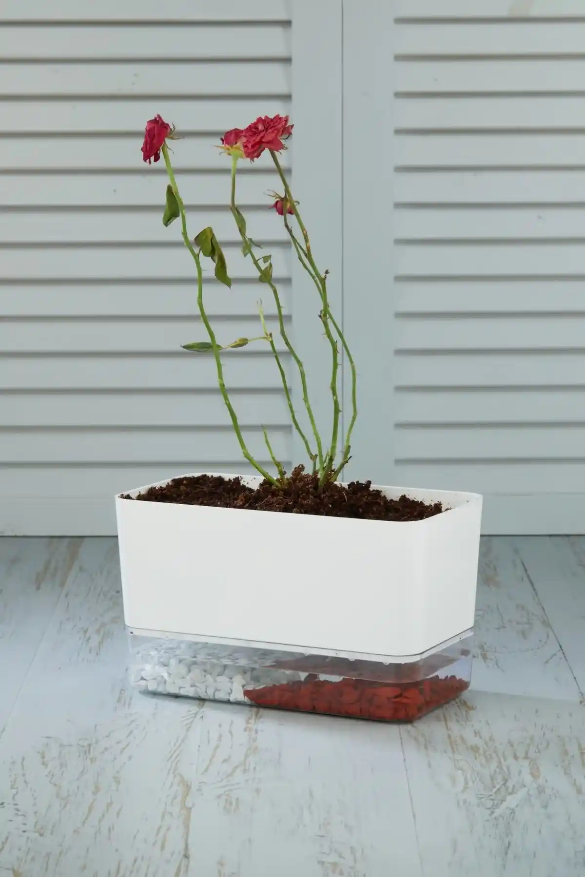 Çiçek Saksılarıyla Dekorasyonda Doğal ve Şık Dokunuşlar