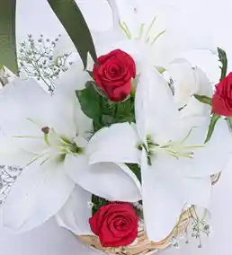 Çiçek Sepeti Zambak: Zarif ve Tazelik Sunan Dekorasyon Unsuru