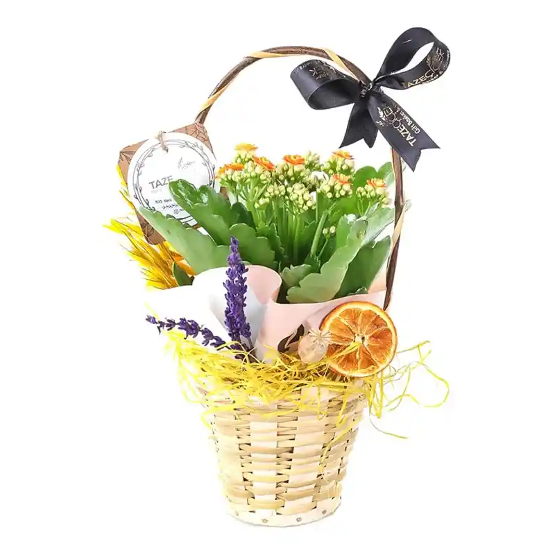 Çiçek Sepetleri ile Ev Dekorasyonunda Yaratıcı ve Şık Kullanım İpuçları