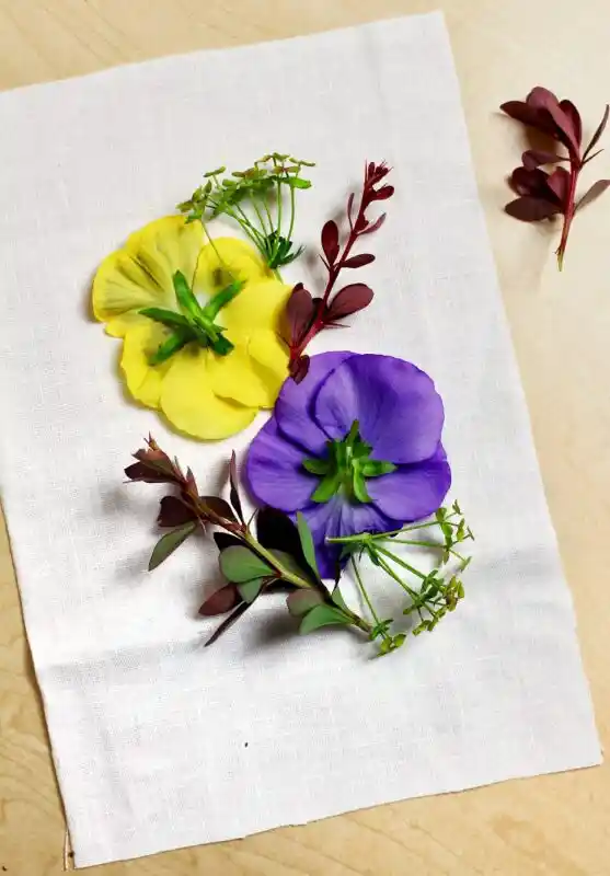 Çiçekten Tablo Yapımıyla Doğal ve Estetik Dekorasyon Yöntemleri