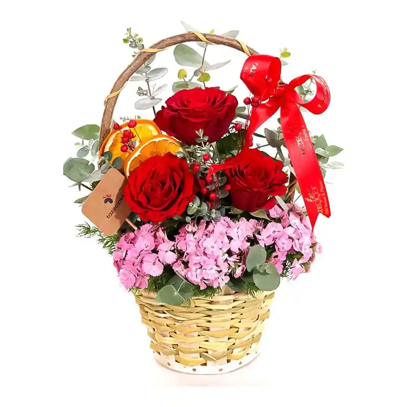 Çocuk Gelişimini Destekleyen Etkinlikler ve Eğitim Kaynakları Rehberi