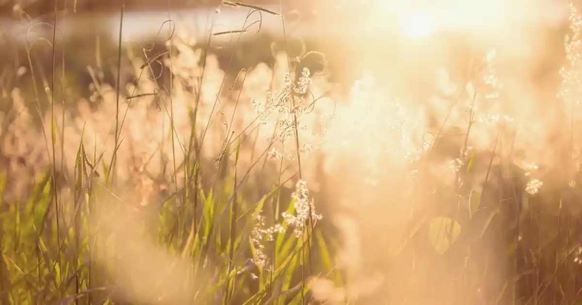 Çocuk Odası Dekorasyonunda Duvar Lambalarının Önemi ve Güncel Trendler