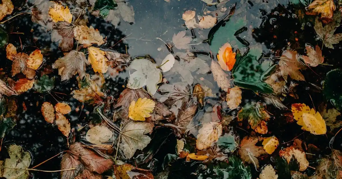 Çocuk Odası Dekorasyonunda Şık ve İşlevsel Mama Sandalyesi Seçenekleri ve Uygulama İpuçları