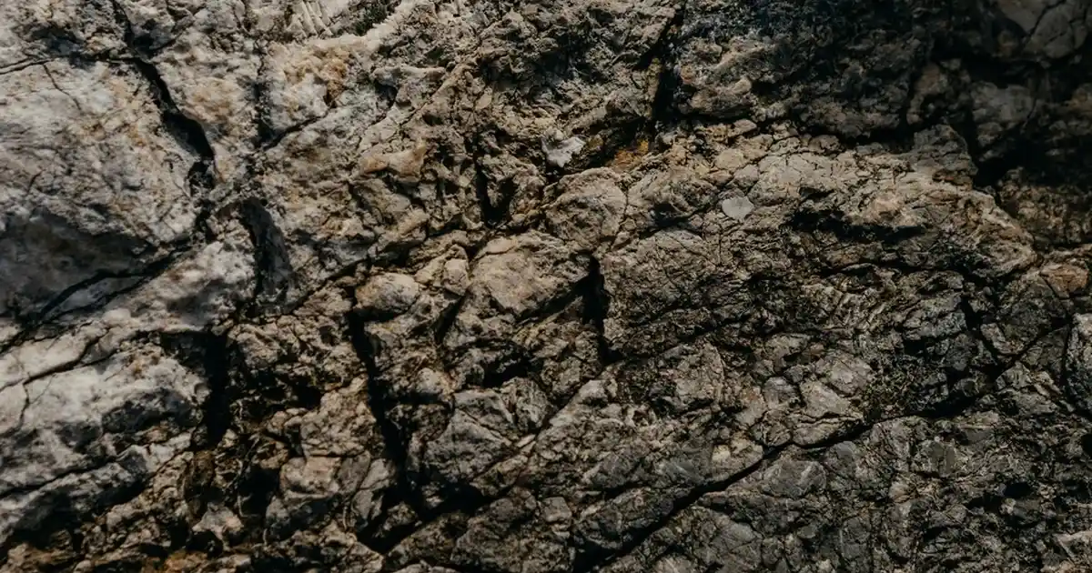 Dekorasyonda Organizer Kullanımının Önemi ve Yaratıcı Çözümler Hakkında Detaylı Rehber