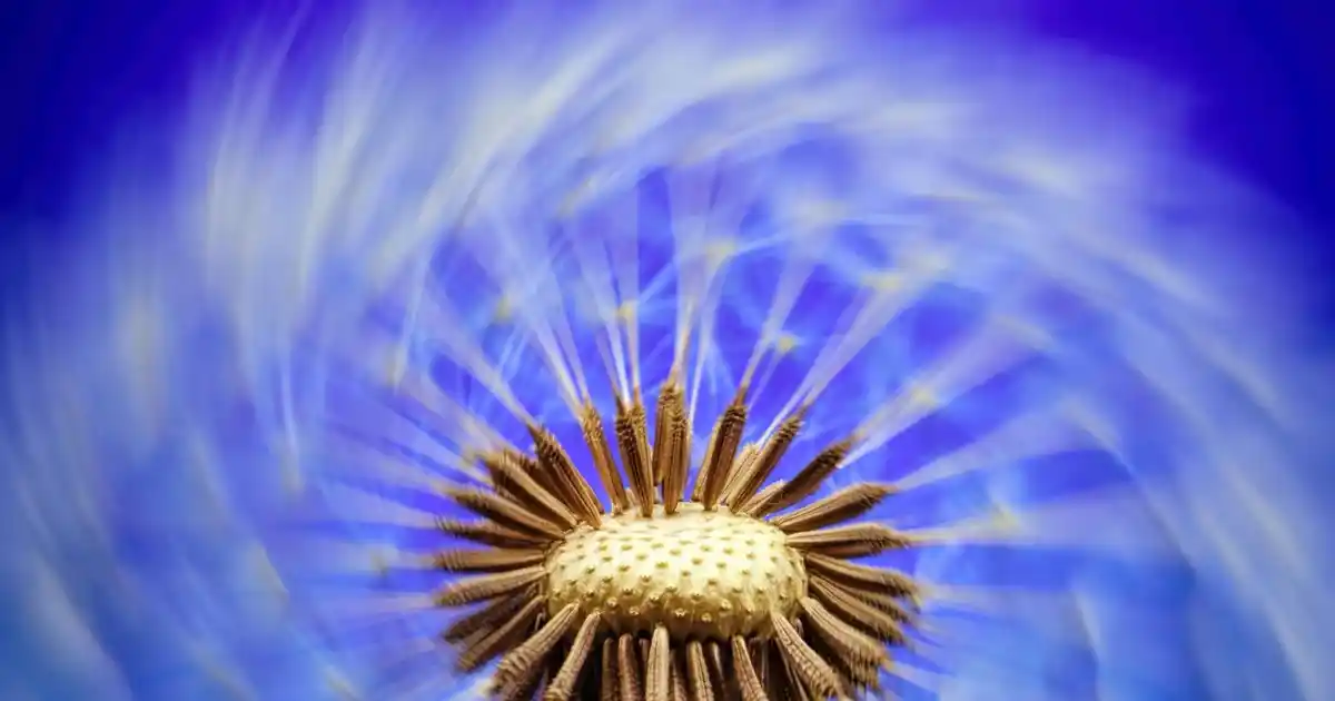 Dekorasyonda Şıklık ve Fonksiyonellik Sunan Tek Sepetleri Kullanım İpuçları ve Trendler