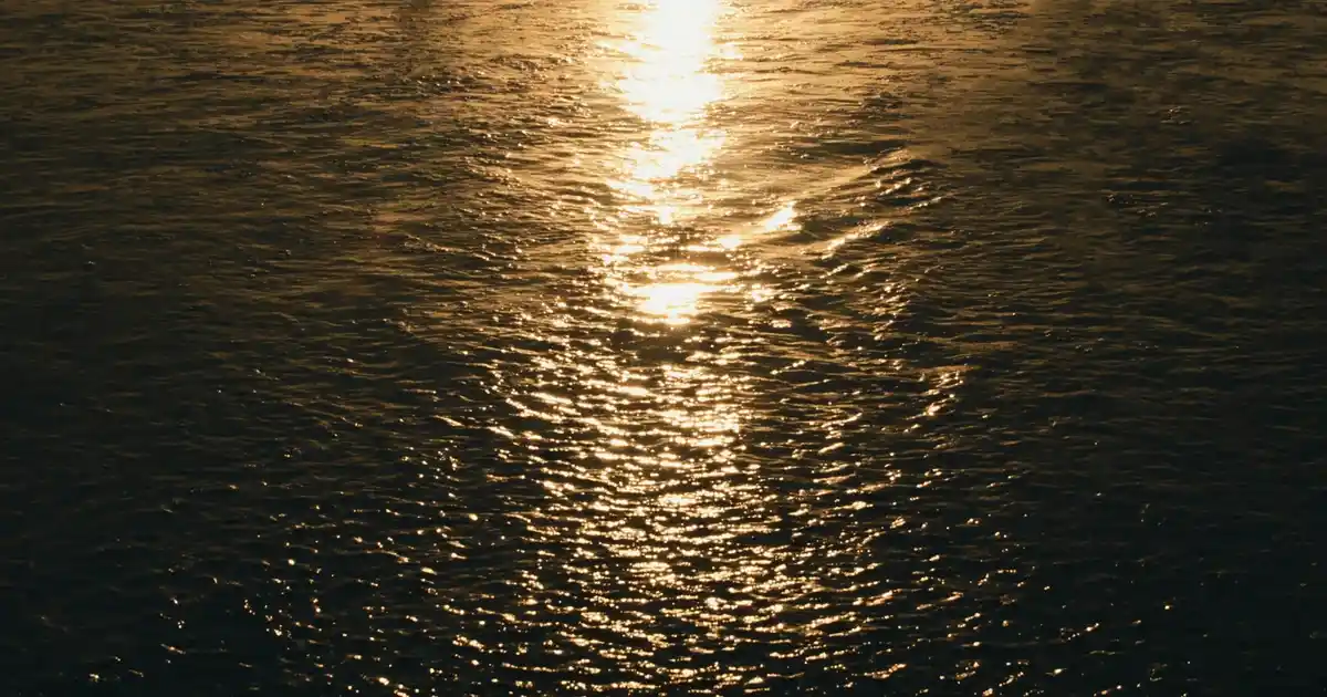 Dekorasyonda Yenilikçi Dokunuşlar: Ütü Açıcı ile Şıklık ve Fonksiyonellik Sağlama