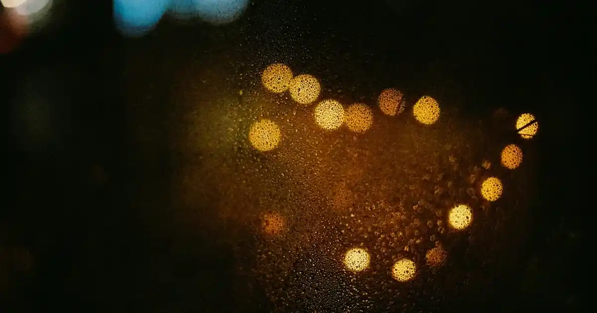 Evinizi Canlandıran ve Doğal Güzelliği Yansıtan Çiçek Kurutma Sanatı Rehberi