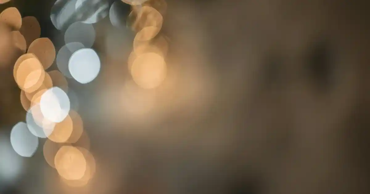 İç ve Dış Mekanda Palmiye Ağaçlarıyla Tropikal Dekorasyon Rehberi