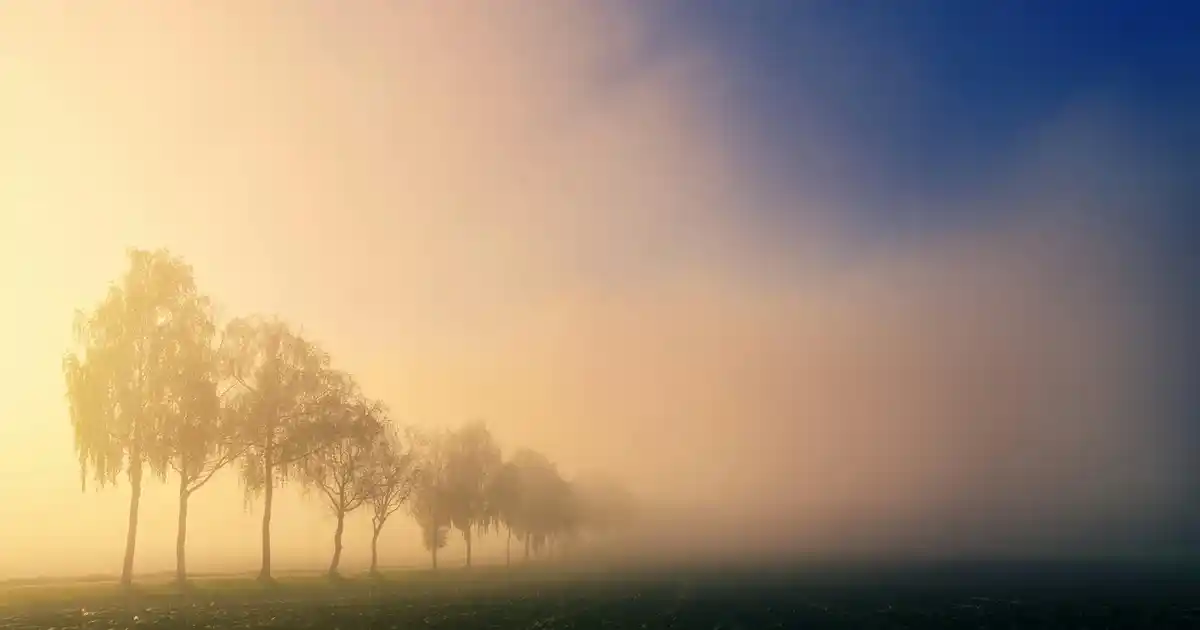 İki Kişilik Yemek Masasıyla Küçük Alanlarda Şıklık ve Fonksiyonellik Sağlama