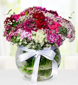 İndirimli Çiçeklerle Ekonomik ve Şık Dekorasyon İpuçları ve Fırsatlar