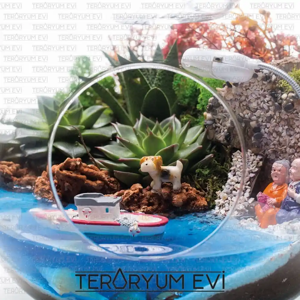 Işıklı Teraryumlar ile Modern ve Şık İç Mekan Dekorasyonları Nasıl Yapılır