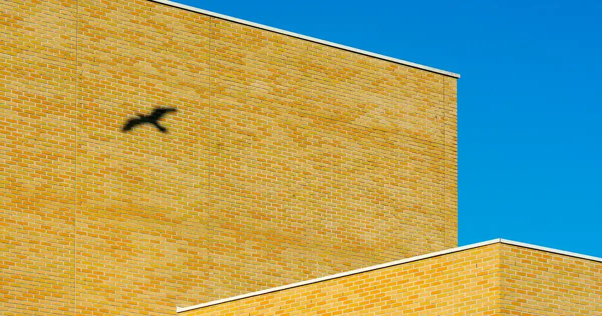 İsviçre Orijinal Yataklar ile Dekorasyon ve Konforun En İyi Buluşması