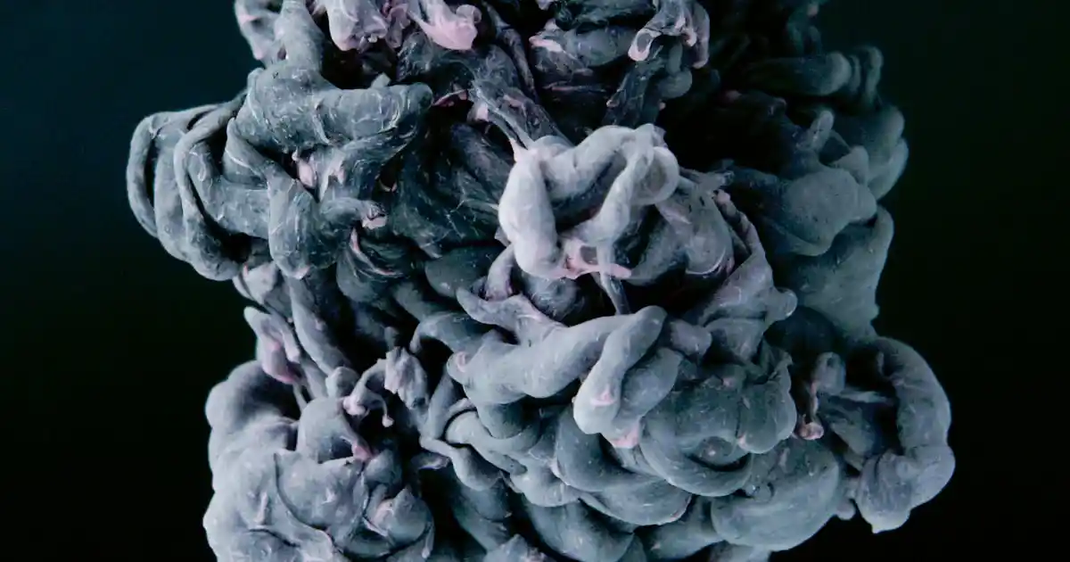 Kadın Çantası Temalı Dekorasyon Fikirleri ve Evde Şıklık Yaratma Yöntemleri