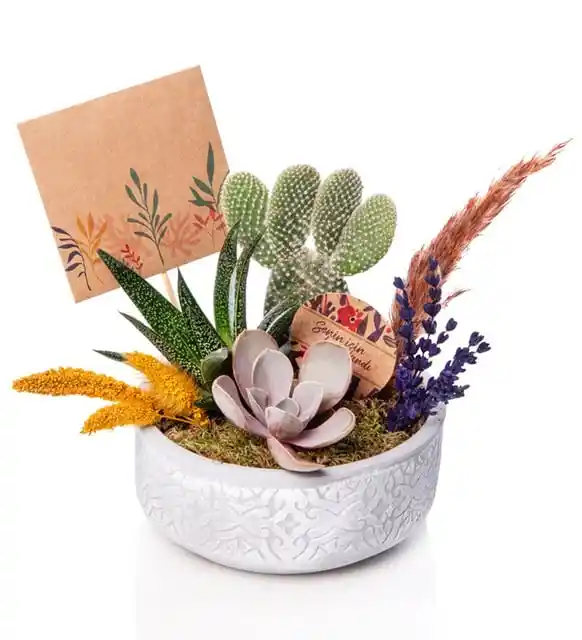 Kaktüsler ile Dekorasyonda Doğal ve Şık Dokunuşlar: Modern Mekanlar İçin Dekorasyon İpuçları