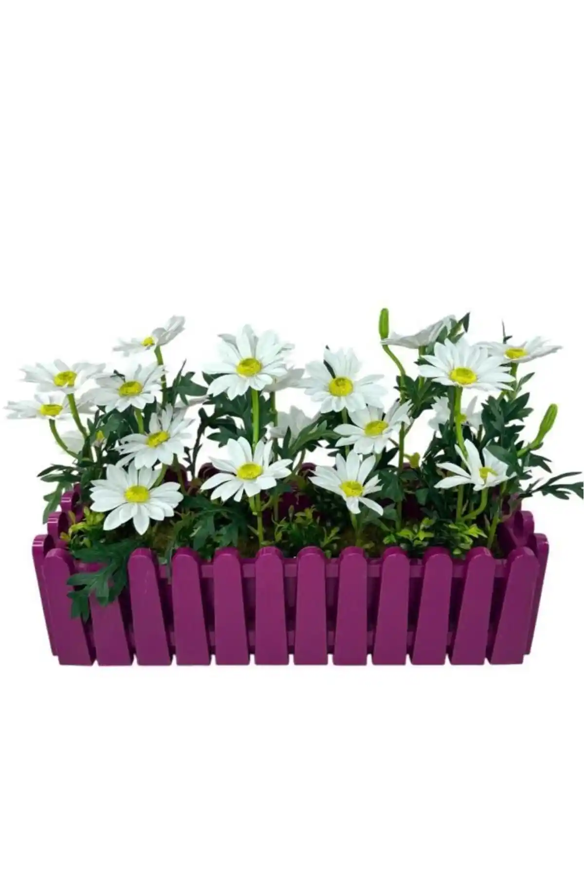 Kasımpatı Dekorasyonunda Zarafet ve Doğallık: İç ve Dış Mekanlar İçin Uygun Seçenekler