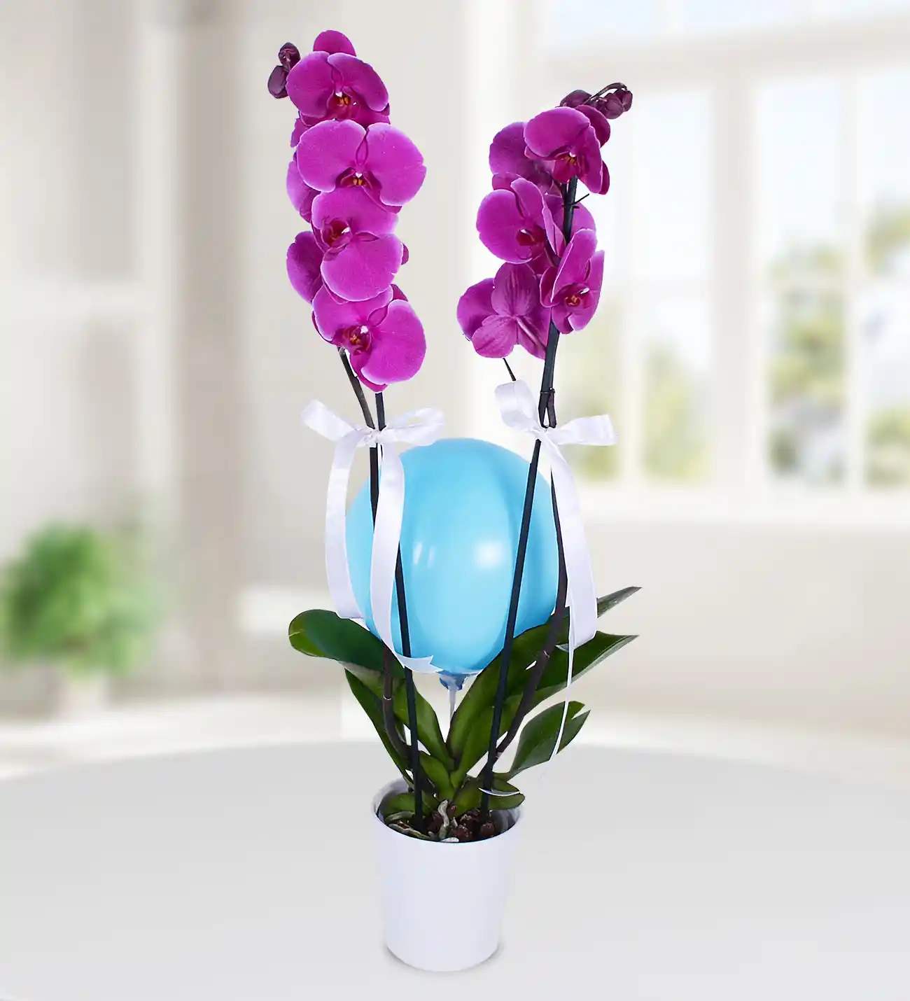Mavi Orkide ile Dekorasyonda Zarafet ve Doğallığın Şık Buluşması