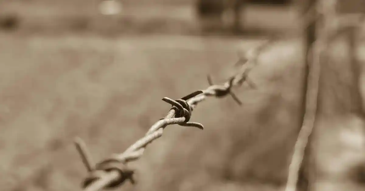 Metal Çerçeveli Aynalar Dekorasyonda Modern ve Şık Dokunuşlar