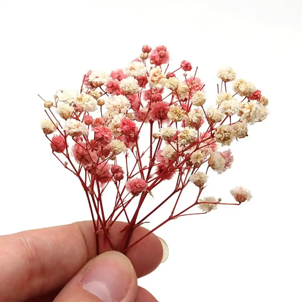 Mini Çiçeklerle Dekorasyonda Küçük Dokunuşların Gücü ve Faydaları