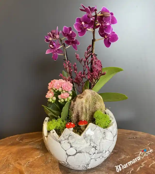 Mini Orkide Dekorasyonunda Zarafetin Modern ve Şık Kullanım Rehberi