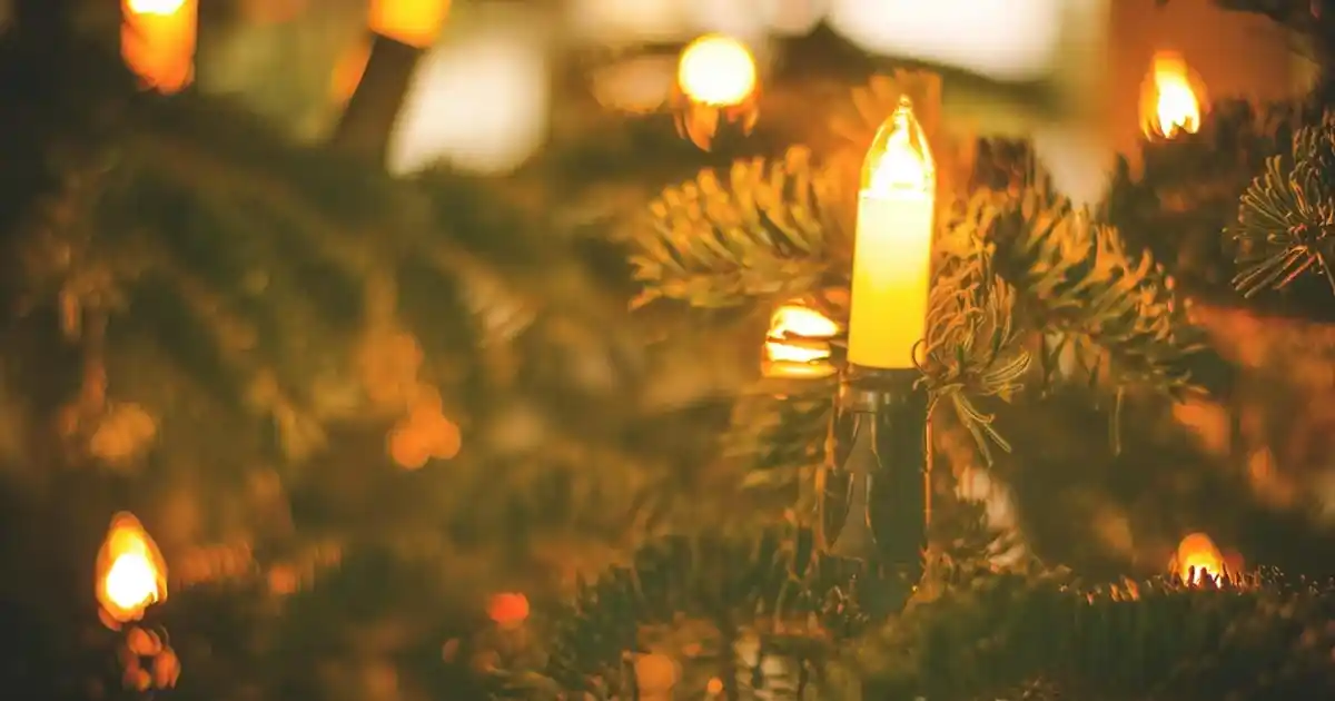 Mini Saksıda Yapay Çiçeklerle Dekorasyonunuzu Zenginleştirme Rehberi