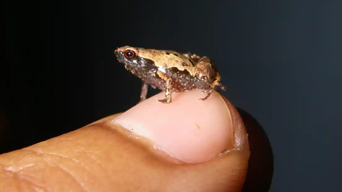 Minik Mumlar ile Dekorasyonda Şık ve Sıcak Atmosfer Yaratma Rehberi