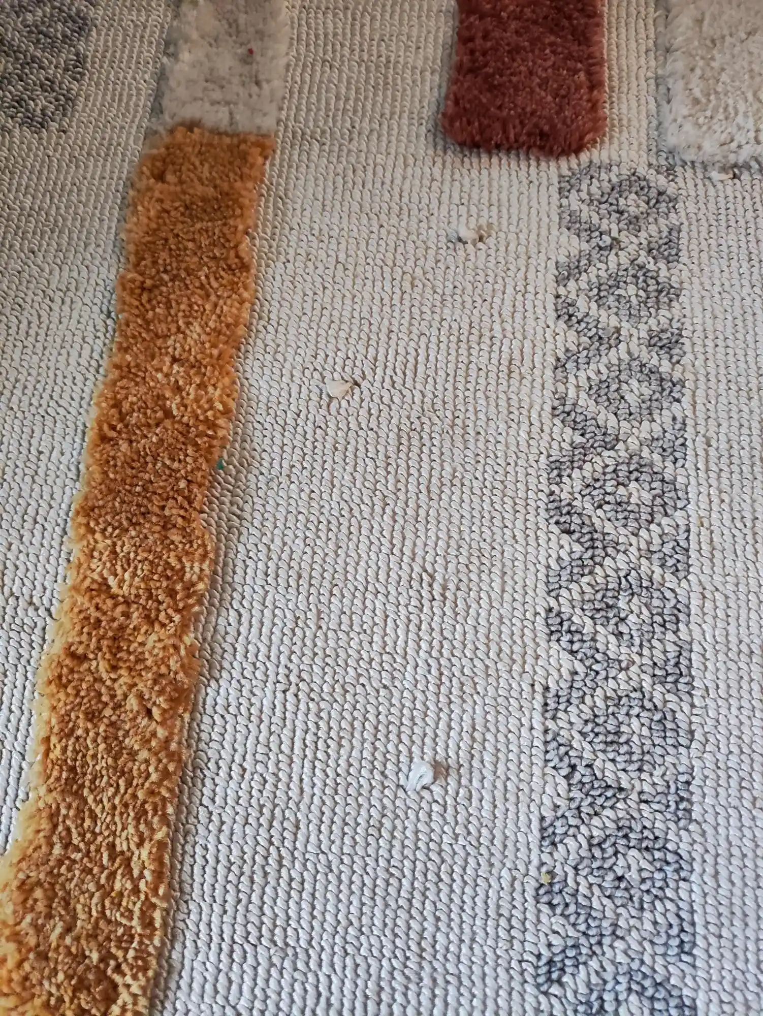 Miocasa Halı ve Dekorasyonda Şıklık: Modern ve Fonksiyonel Seçenekler