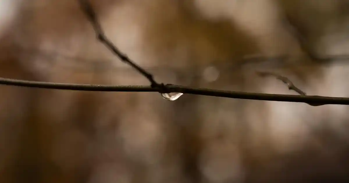 Mobilya Kılıfları ile Dekorasyonunuzu Geliştirin ve Mobilyalarınızı Koruyun