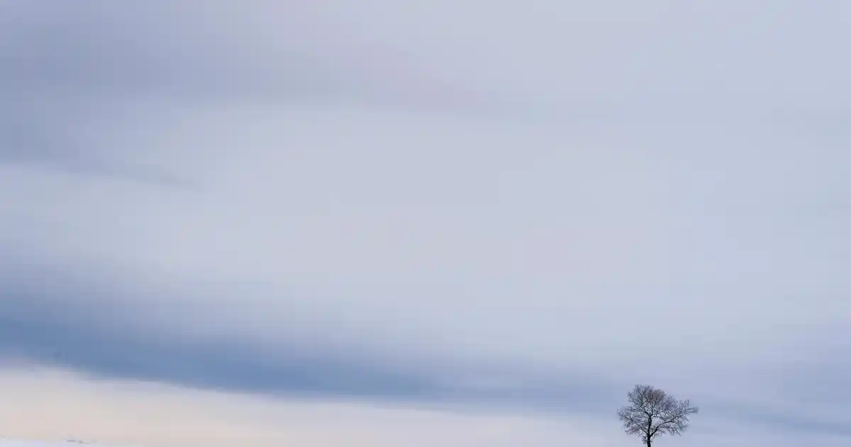 Modern Avize Seçimi ve Salon Dekorasyonunda Kullanım İpuçları