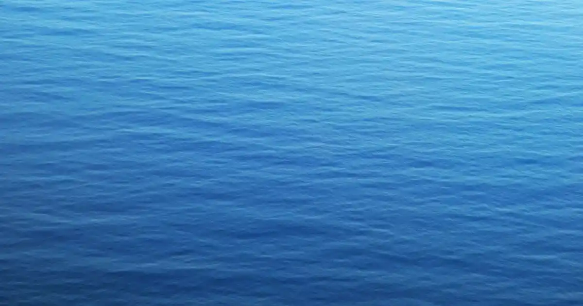 Modern Dekorasyon İçin İşlevsel ve Şık Üçlü Saklama Kabı Seçenekleri