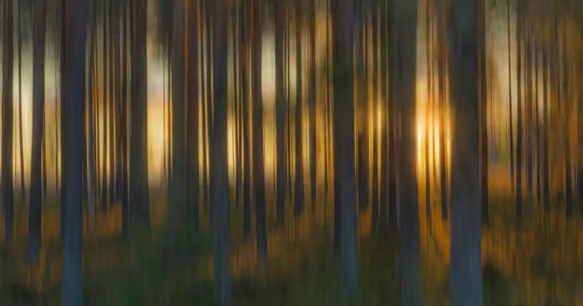 Modern Gaz Lambası ile Dekorasyonunuza Şıklık Katmanın Yolları ve Tasarım İpuçları