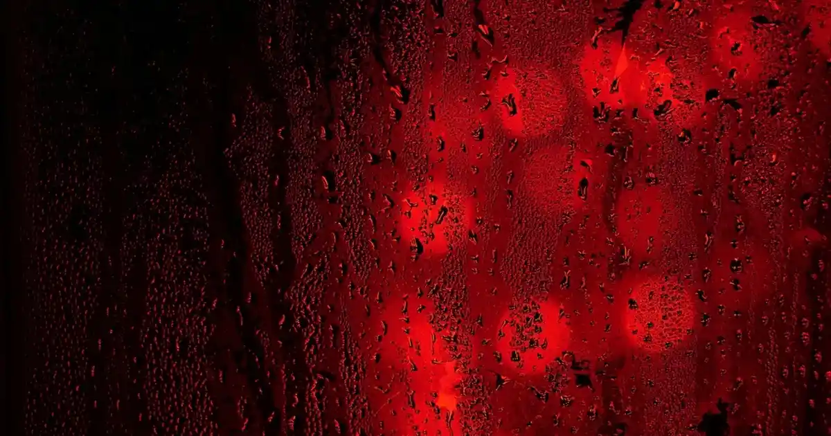 Mor Avize ile Dekorasyonunuzu Zarif ve Şık Bir Şekilde Geliştirin