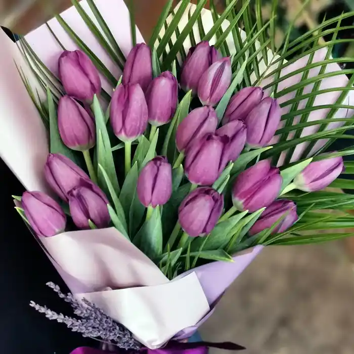 Mor Lale: Dekorasyonda Zarafet ve Anlam Katmanın Şık Yolu