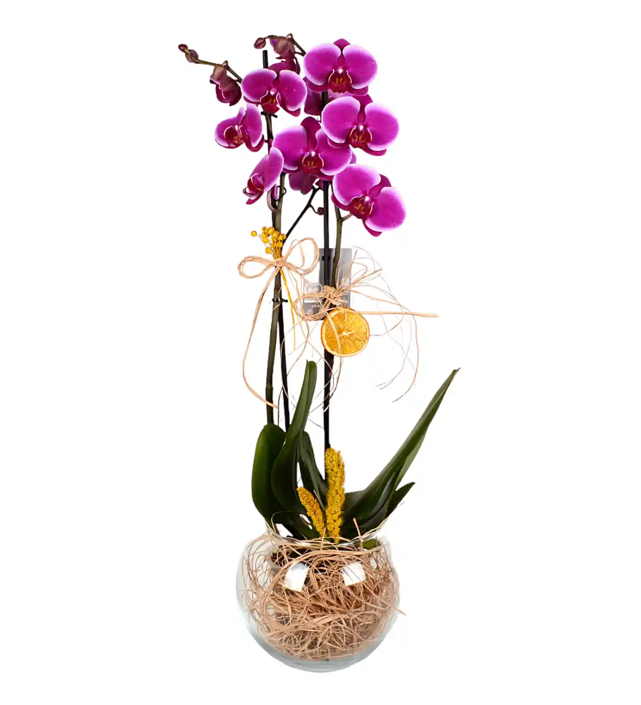 Mor Orkide ile Dekorasyonda Zarafet ve Şıklık Yaratmanın Yolları