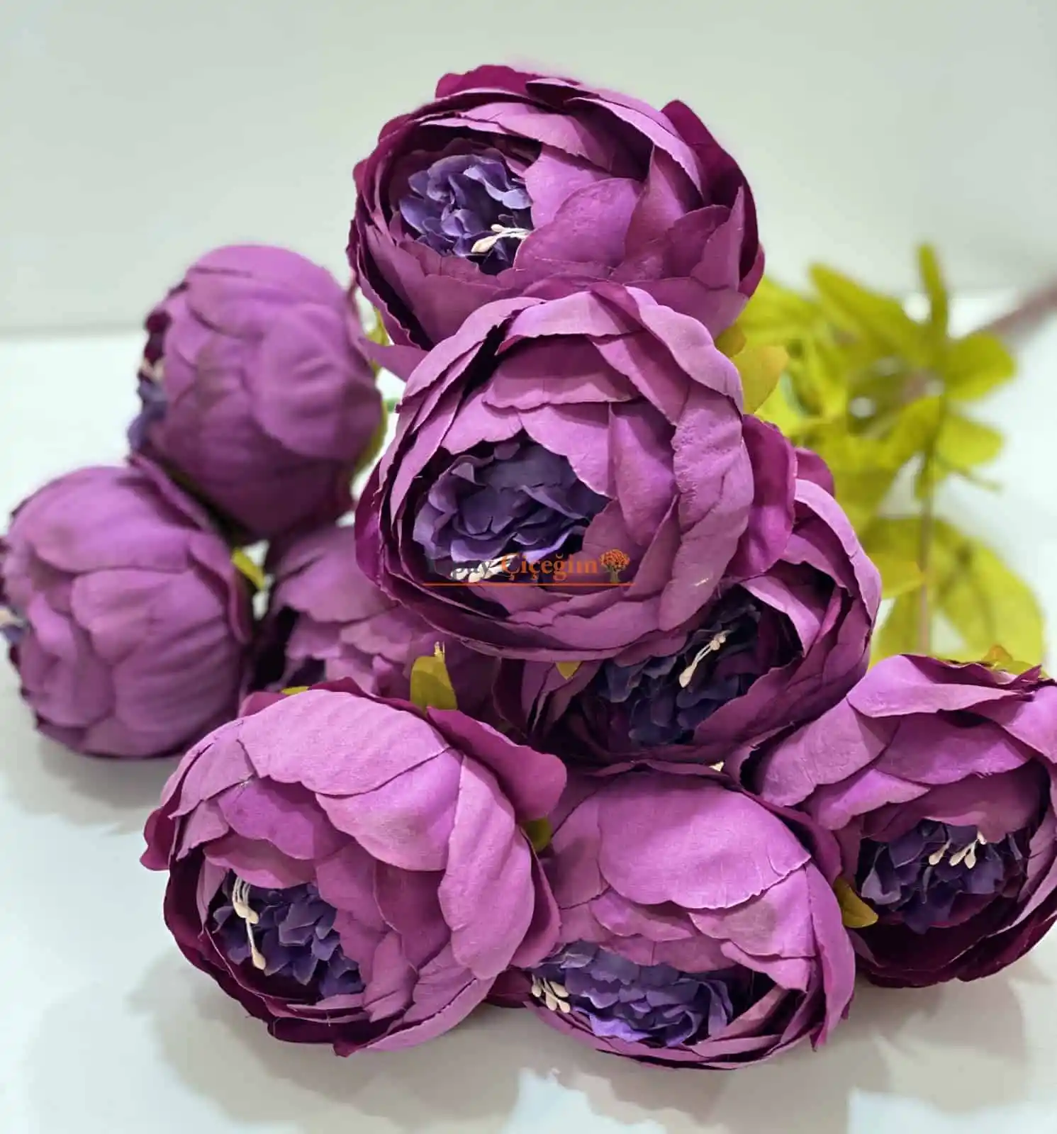 Mor Şakayık ile Dekorasyonda Zarafet ve Doğallık: Renk ve Çiçek Seçenekleri