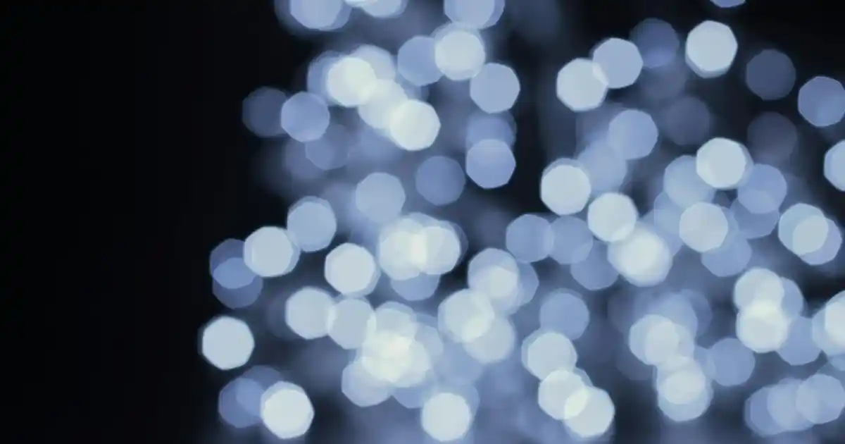 Mor Yaprak Dekorasyonuyla Mekânlara Zarafet Katmanın Yolları